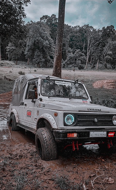 赖斯：每场比赛我都充满信心，教练们激励我突破极限