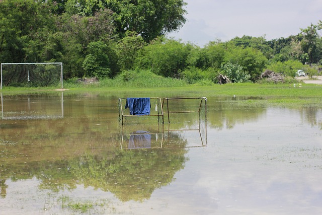 阿根廷足协主席：我希望斯卡洛尼及其教练组续约到2030年