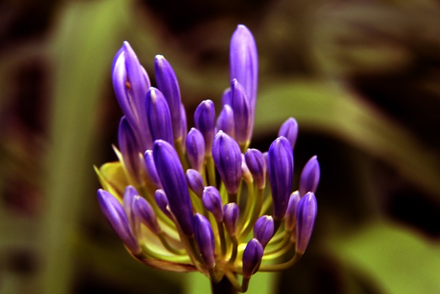 两度进球 两度进球