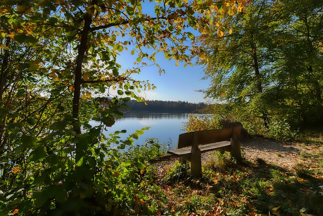 不意味着他 不意味着他