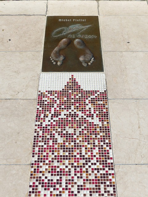 有机会在本 有机会在本