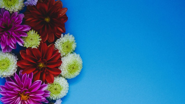 为球队战术 为球队战术