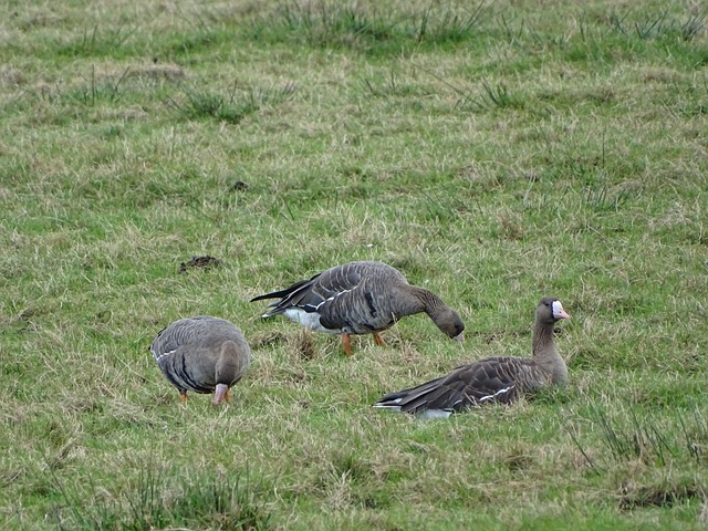 是探索澳门 是探索澳门