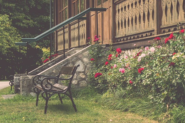 的背景下 的背景下